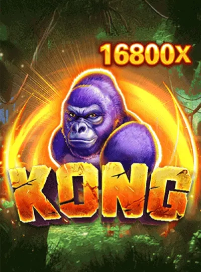 kd9999